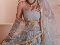 Silver Grey Net Embroidery Lehenga choli