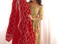 Red Silk Embroidery Work Gown
