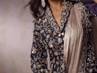 Champagne Ready To Wear Saree