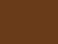 Taupe Brown Modal Kashmiri Saree