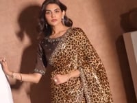 Sand Beige Leopard Print Saree with Border