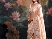 Soft Peach Kanjivaram Embroidery Saree