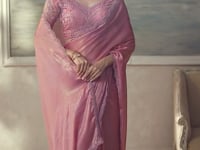 Blush Pink Chiffon Embroidery Border Saree
