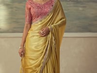 Pastel Yellow Chiffon Embroidery Border Saree