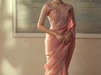 Peach Pink Tissue Embroidery Border Saree