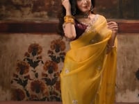Mustard Gold Organza Embroidered Saree