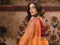 Soft Orange Organza Embroidered Saree