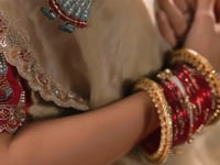 Sand Beige Organza Embroidered Saree
