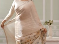 Champagne Embroidery Border Work Saree