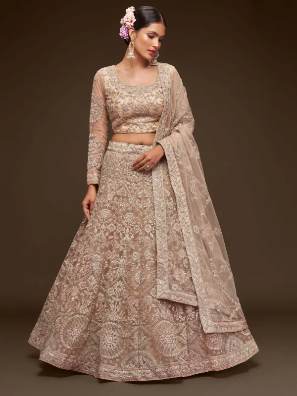 beige net embroidery lehenga choli