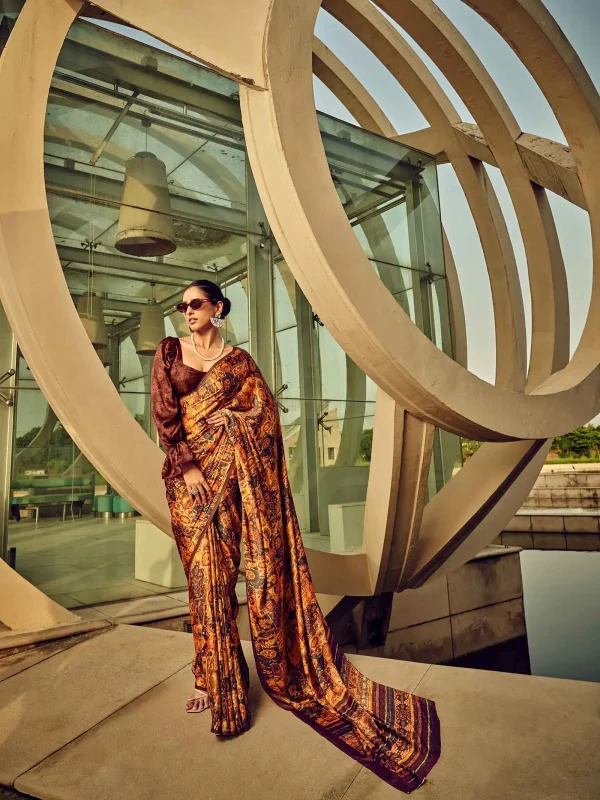 Brown Saree