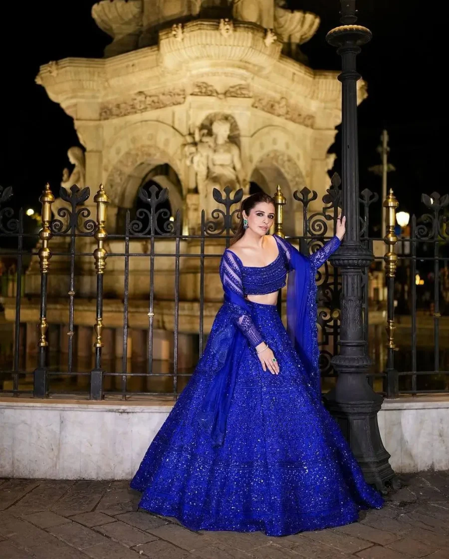 Beautiful Blue Butterfly Work Zari Sequence Designer Lehenga choli