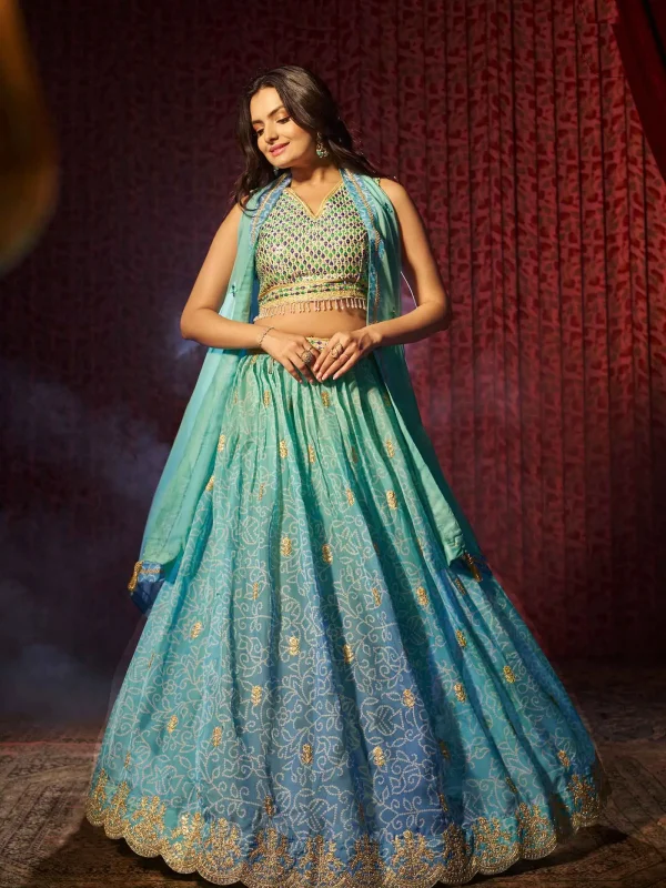 Blue color printed lehenga choli