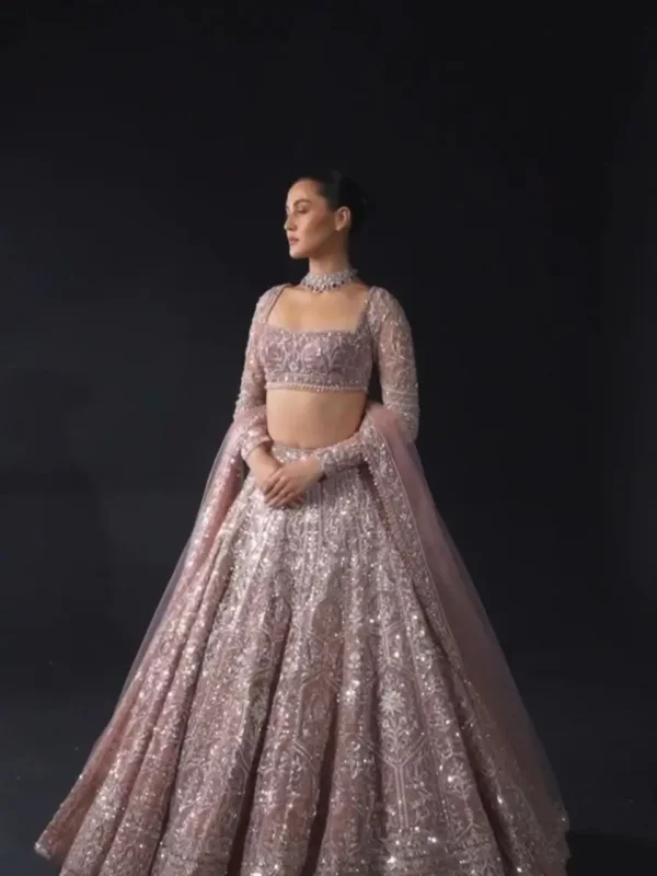 Traditionally embroidered lehenga choli